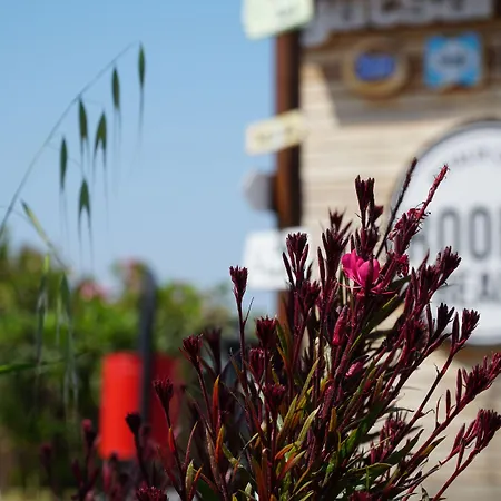 Szálloda Smart Luxury & Çeşme