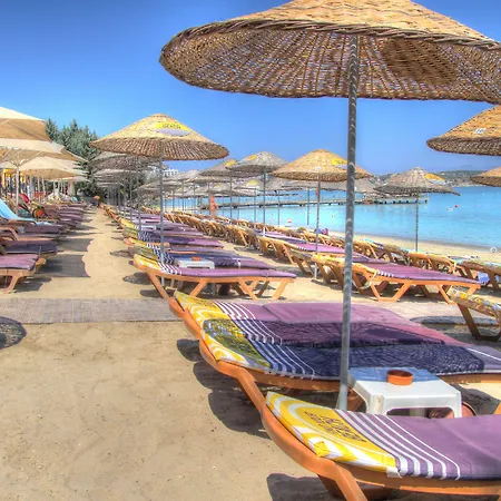 Smart Luxury & Çeşme
