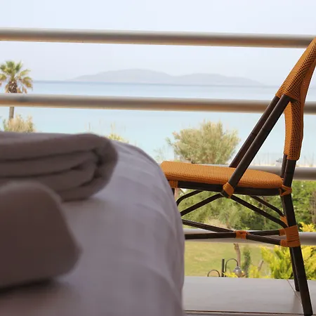 Smart Luxury & Hotel