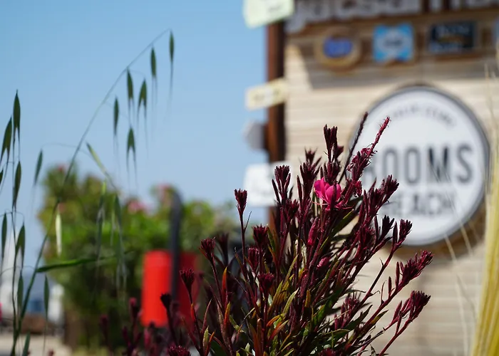 ホテル Smart Luxury & Çeşme