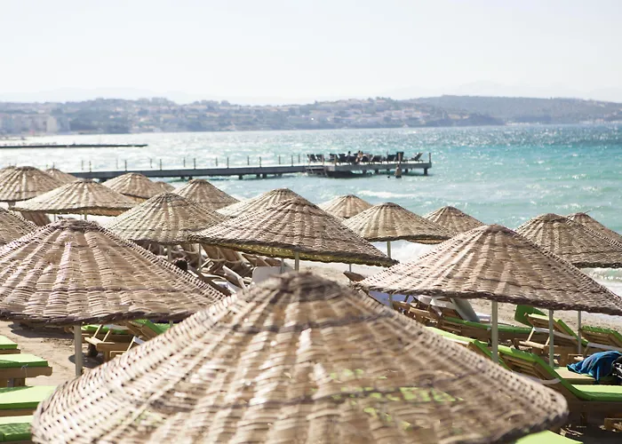 Smart Luxury & ホテル 3*