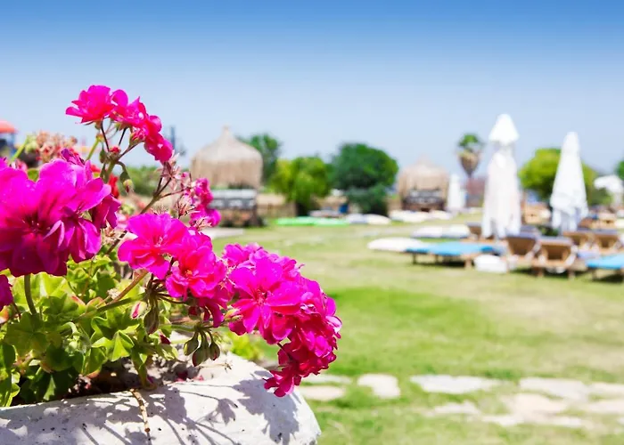 Smart Luxury & 3* Çeşme